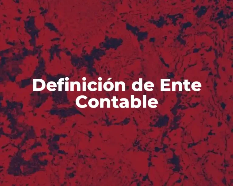 Definición de Ente Contable