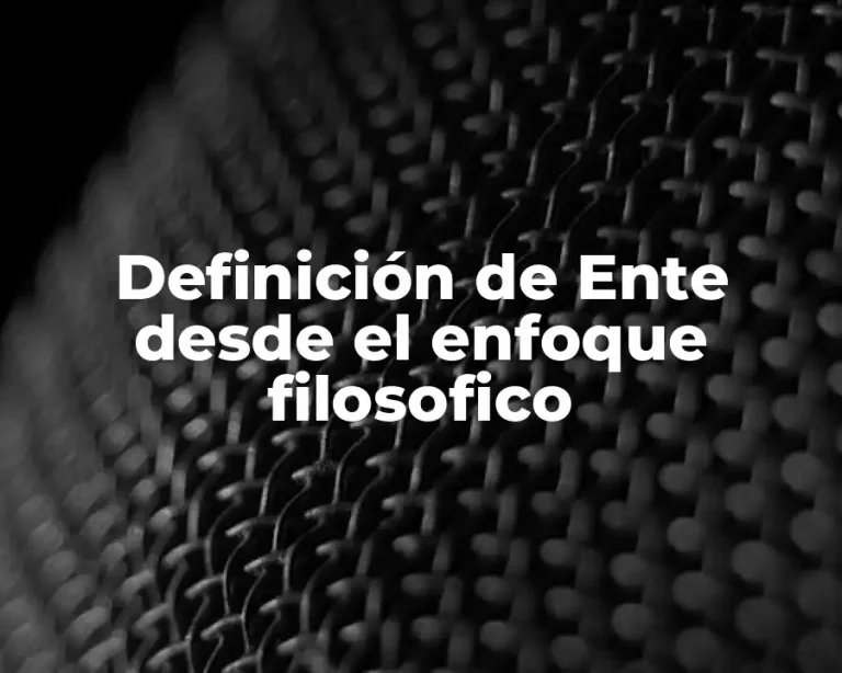 Definición de Ente desde el enfoque filosofico