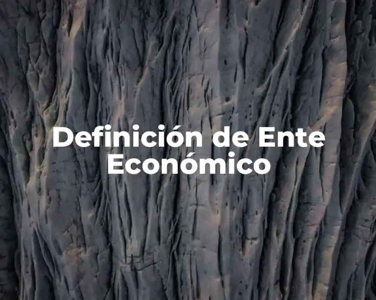 Definición de Ente Económico