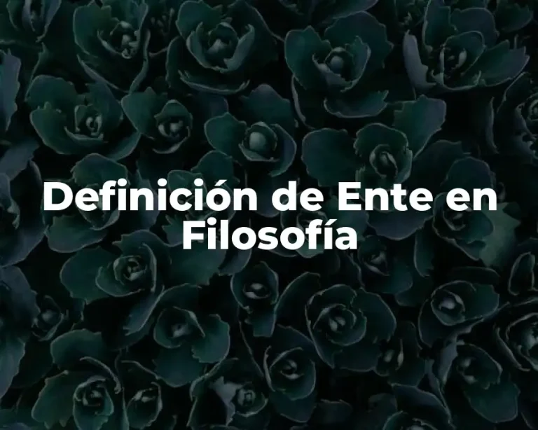 Definición de Ente en Filosofía
