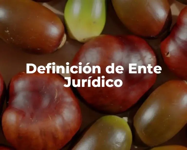 Definición de Ente Jurídico