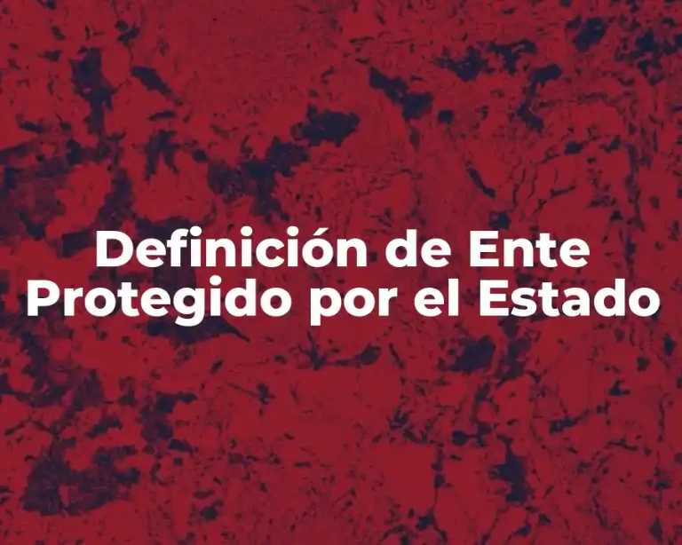 Definición de Ente Protegido por el Estado