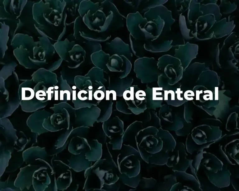 Definición de Enteral