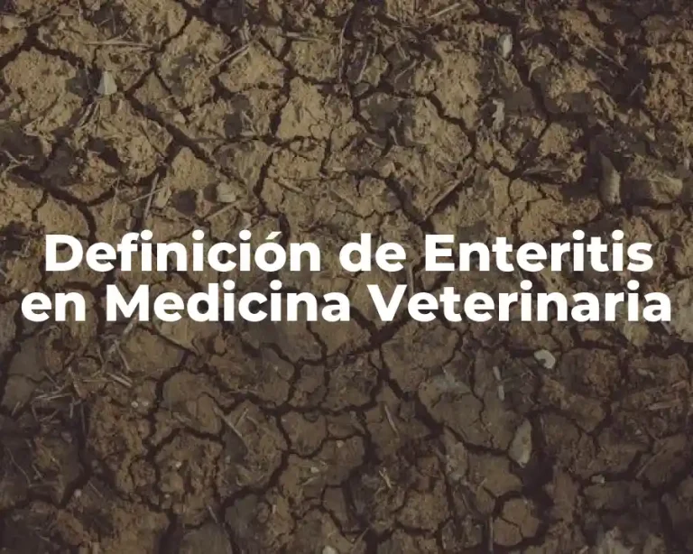 Definición de Enteritis en Medicina Veterinaria
