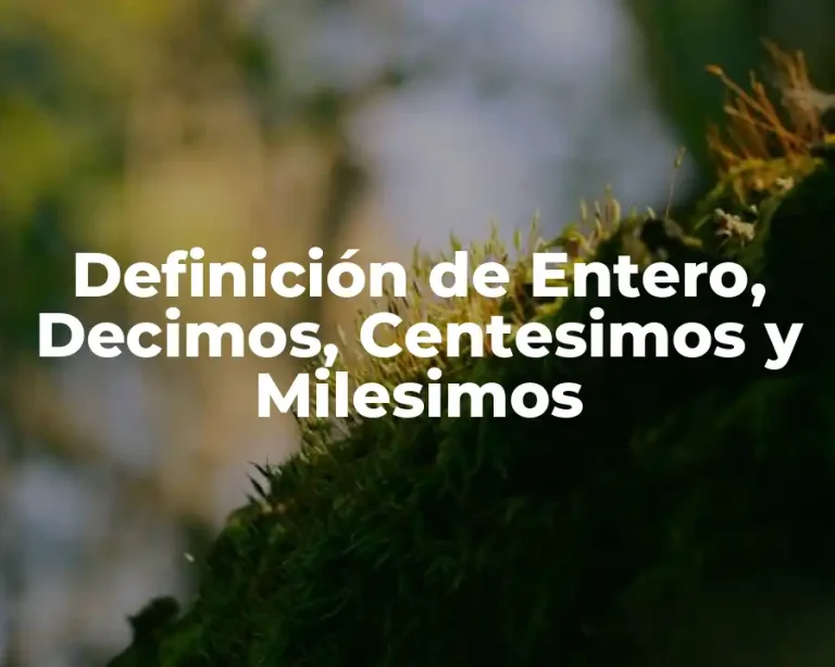 Definición de Entero, Decimos, Centesimos y Milesimos