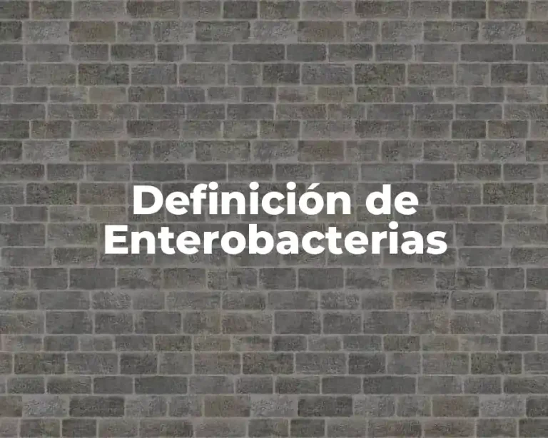 Definición de Enterobacterias