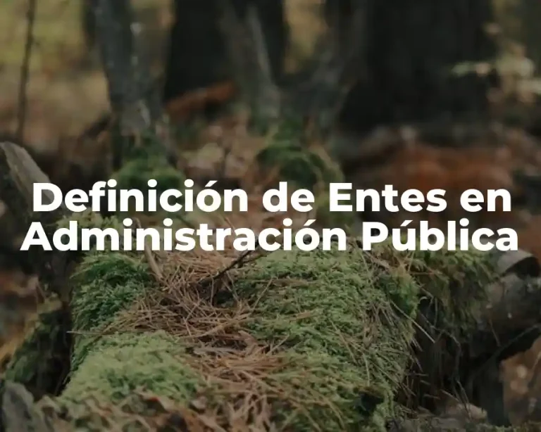 Definición de Entes en Administración Pública