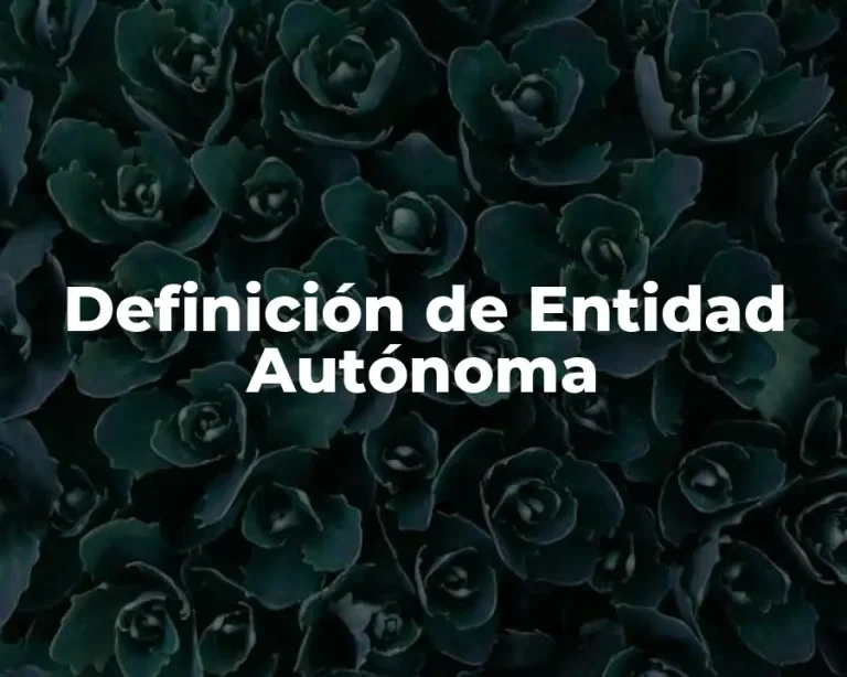 Definición de Entidad Autónoma