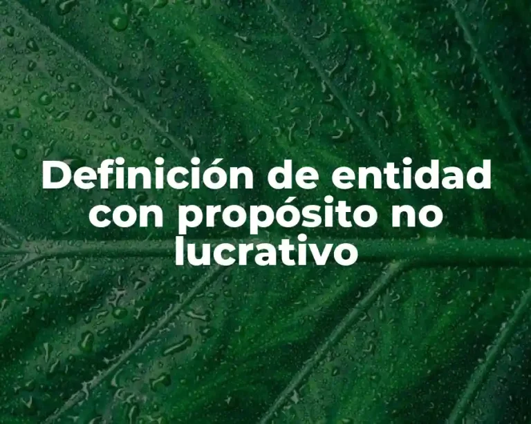 Definición de entidad con propósito no lucrativo