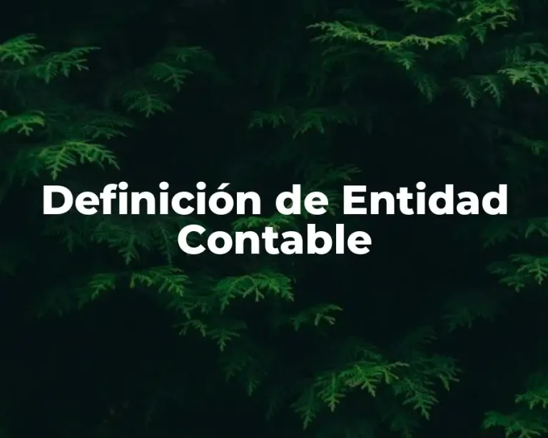 Definición de Entidad Contable