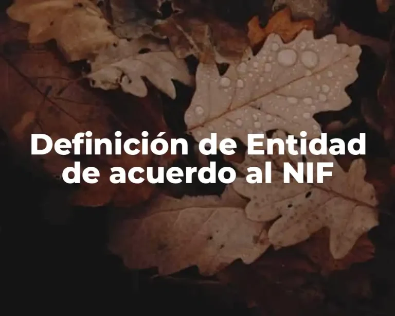 Definición de Entidad de acuerdo al NIF