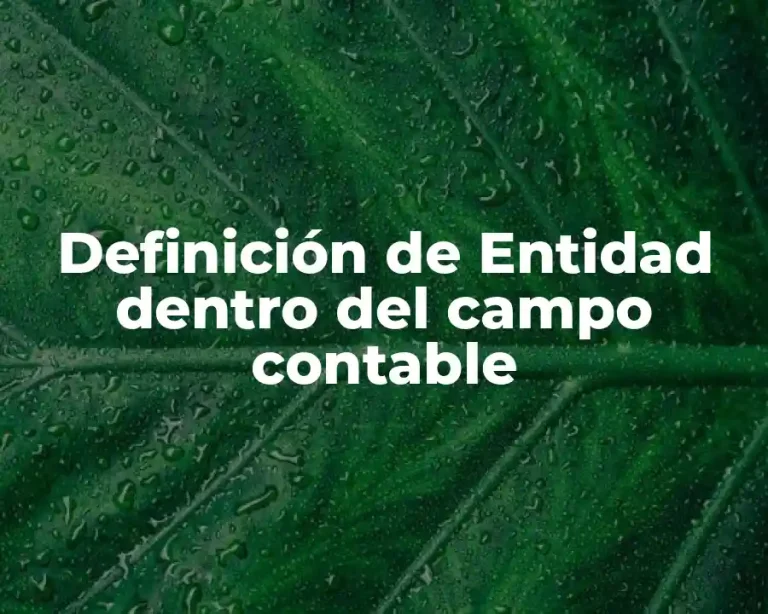 Definición de Entidad dentro del campo contable