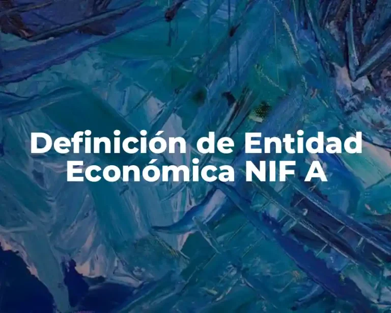 Definición de Entidad Económica NIF A