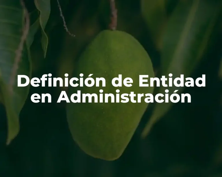 Definición de Entidad en Administración