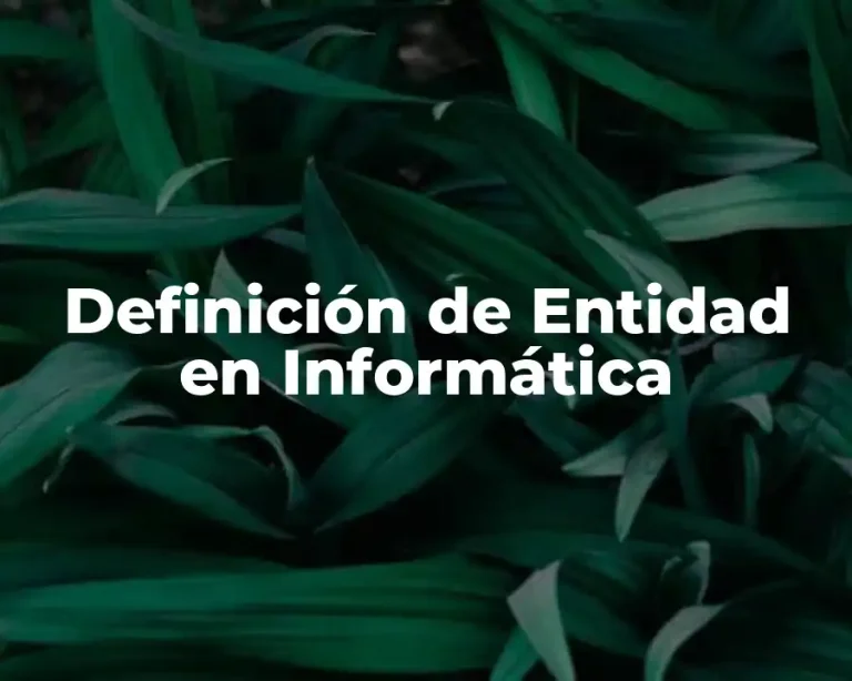 Definición de Entidad en Informática
