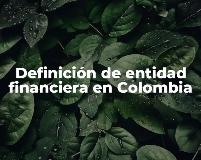 Definición de entidad financiera en Colombia