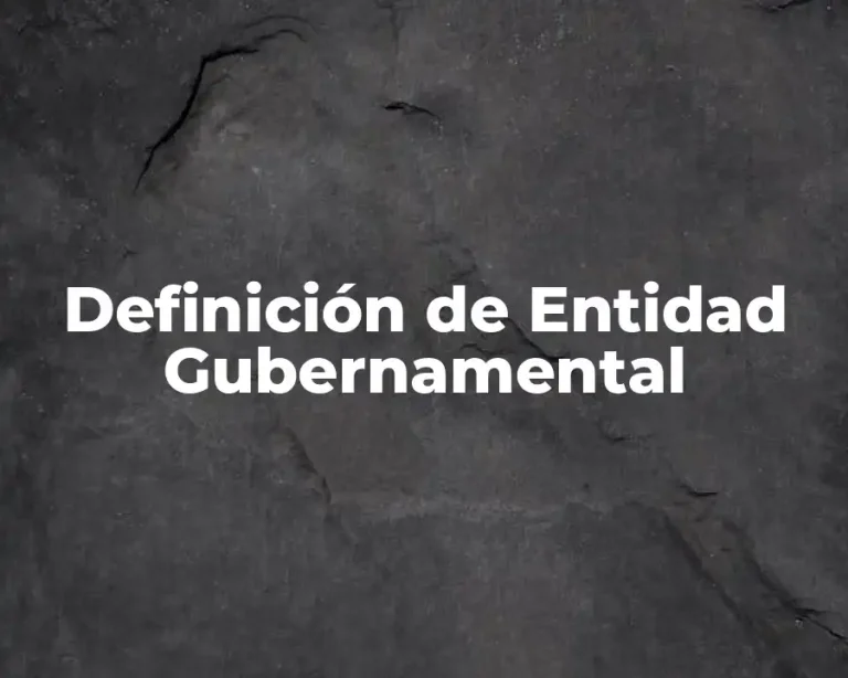 Definición de Entidad Gubernamental