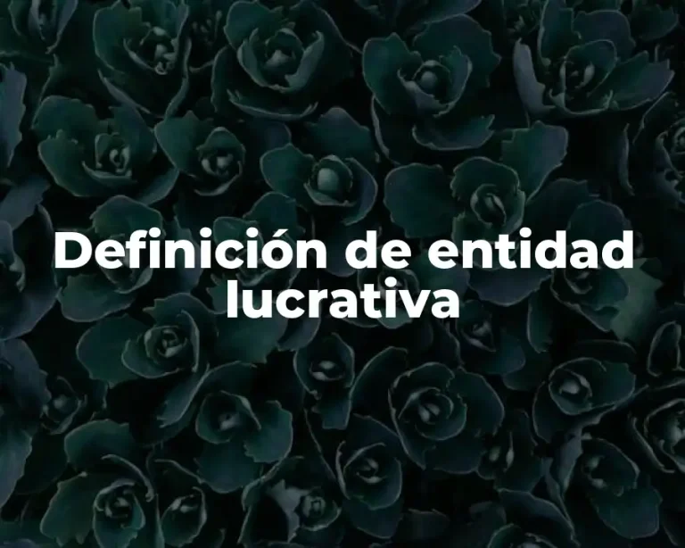 Definición de entidad lucrativa