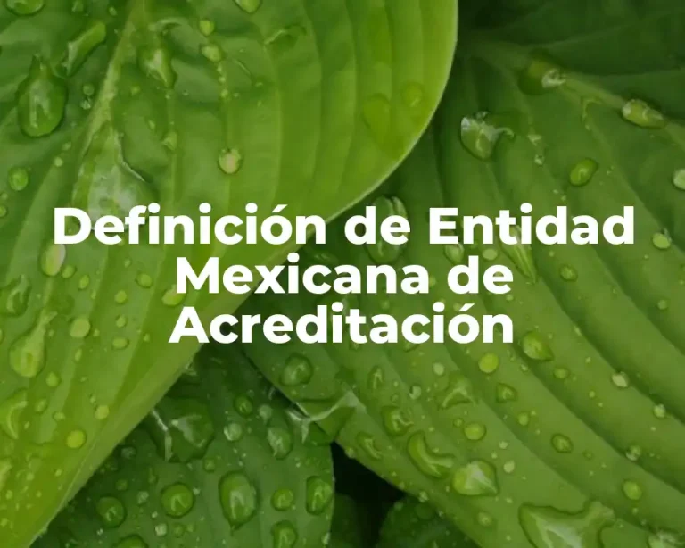 Definición de Entidad Mexicana de Acreditación