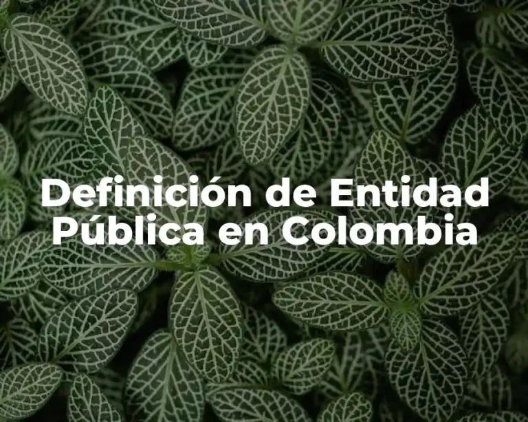 Definición de Entidad Pública en Colombia