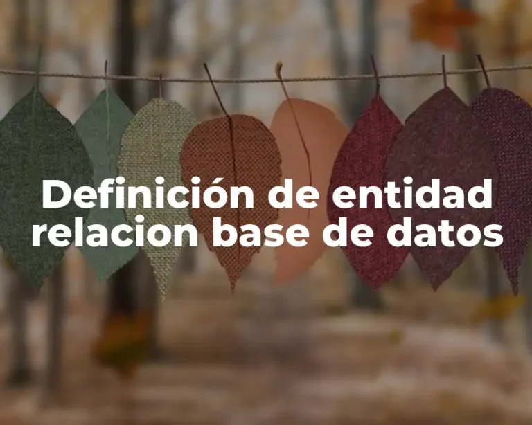 Definición de entidad relacion base de datos