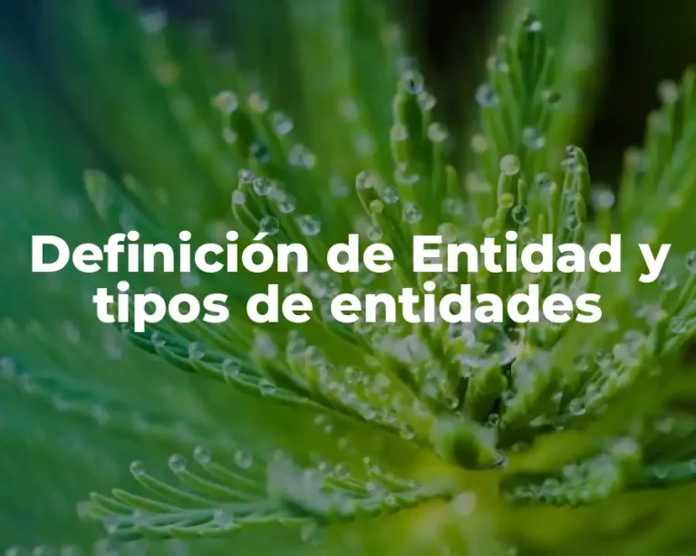 Definición de Entidad y tipos de entidades
