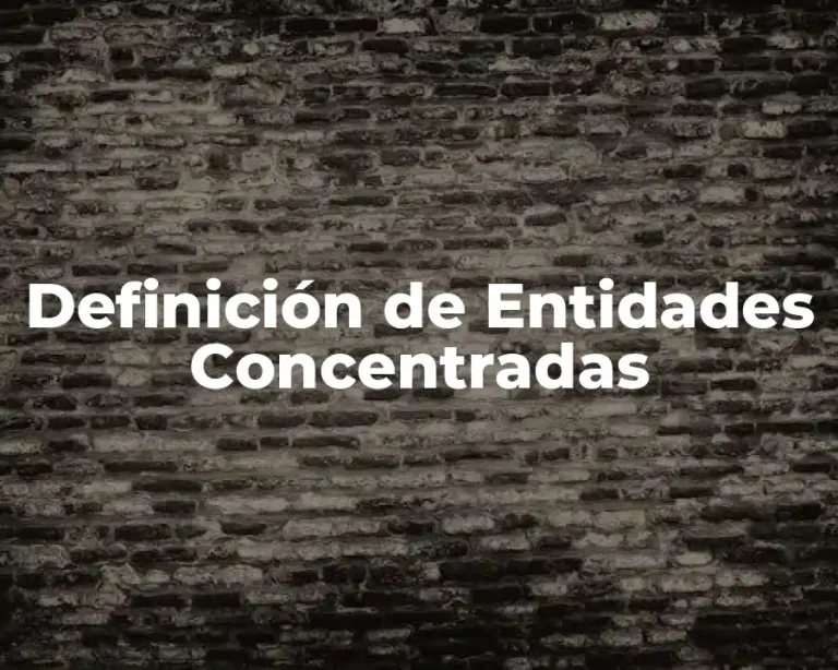 Definición de Entidades Concentradas