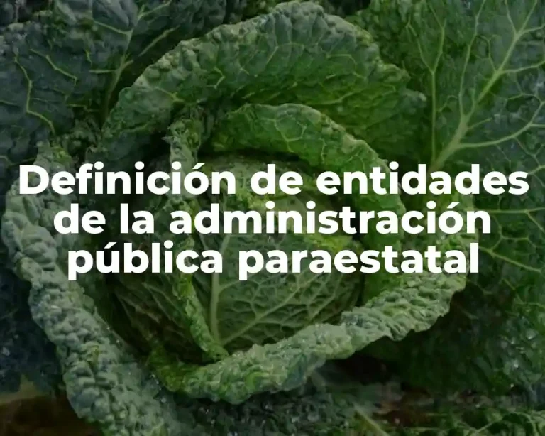 Definición de entidades de la administración pública paraestatal