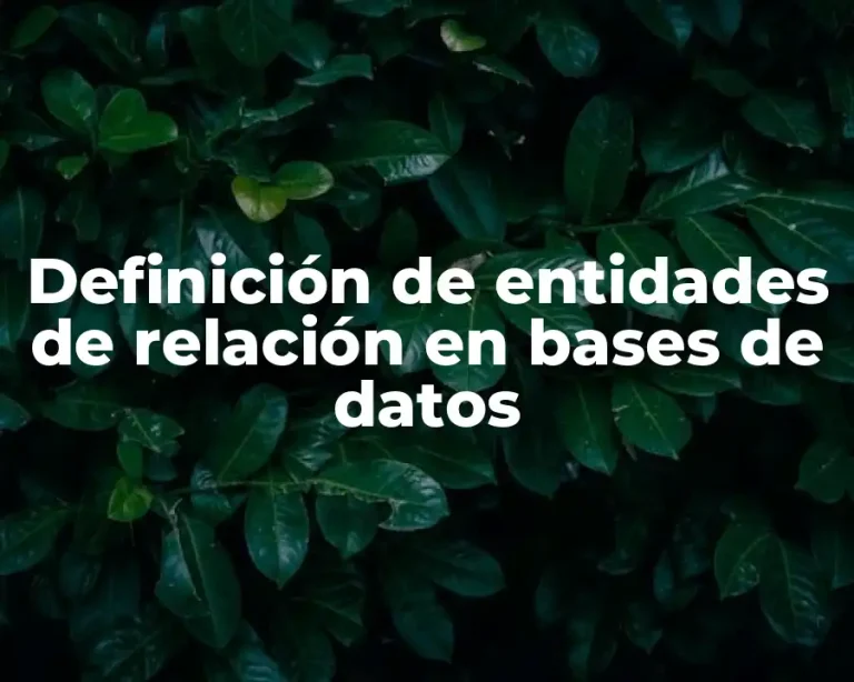 Definición de entidades de relación en bases de datos
