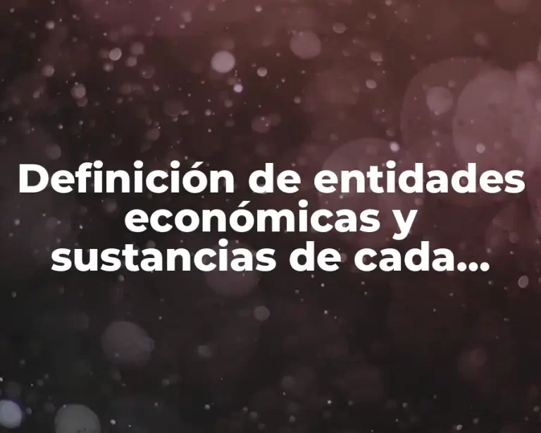 Definición de entidades económicas y sustancias de cada empresa