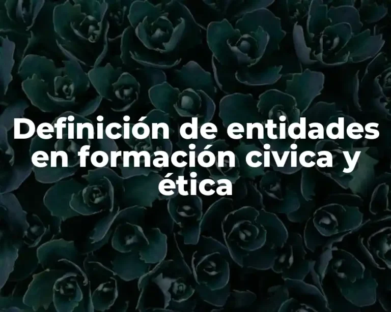 Definición de entidades en formación civica y ética