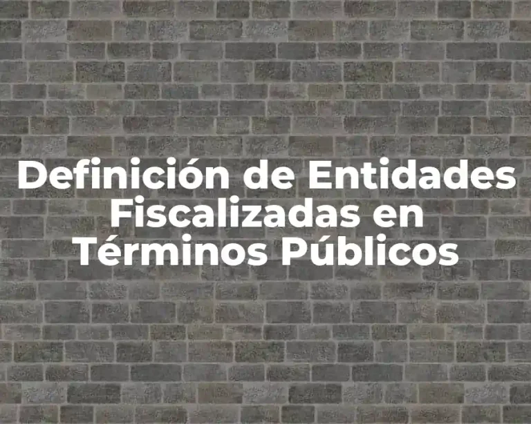 Definición de Entidades Fiscalizadas en Términos Públicos