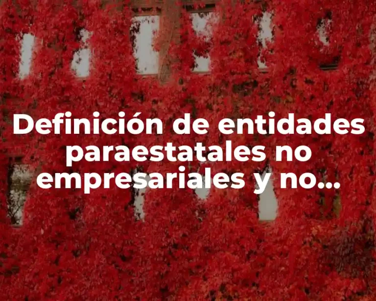 Definición de entidades paraestatales no empresariales y no financieras