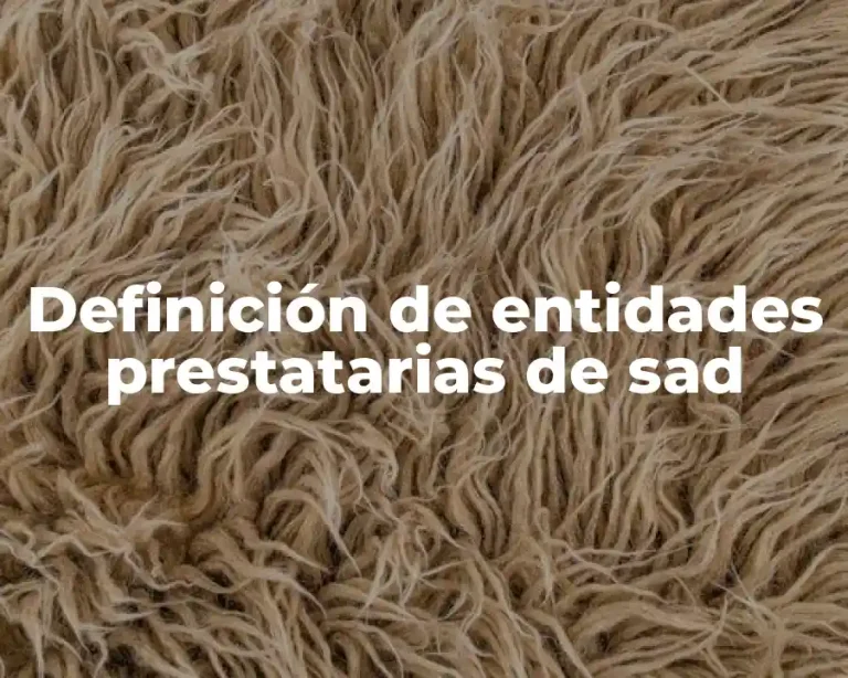 Definición de entidades prestatarias de sad