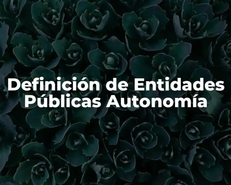 Definición de Entidades Públicas Autonomía