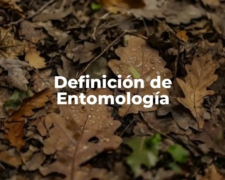 Definición de Entomología