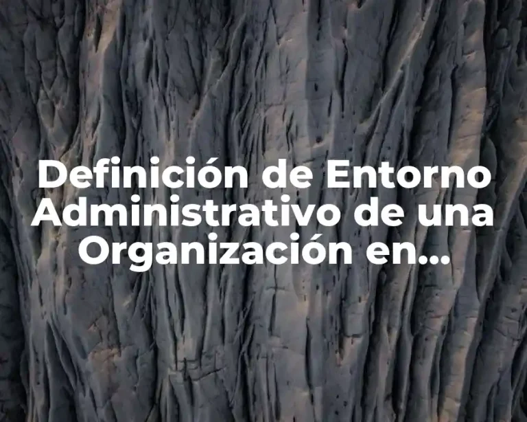 Definición de Entorno Administrativo de una Organización en Enfermería