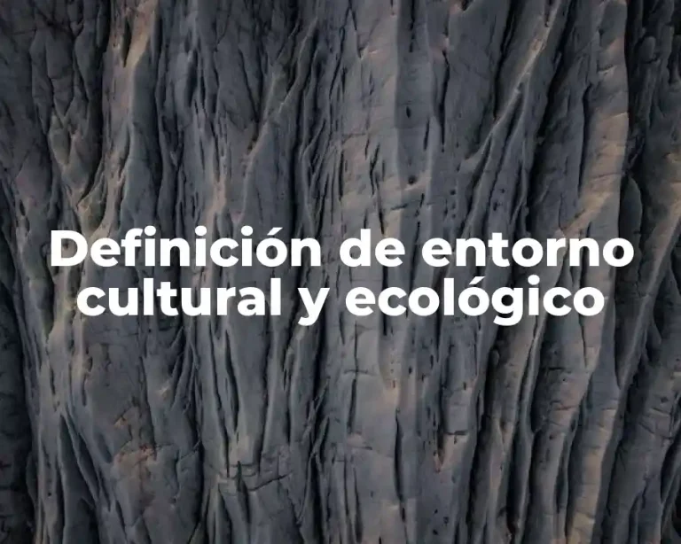 Definición de entorno cultural y ecológico