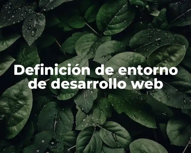 Definición de entorno de desarrollo web