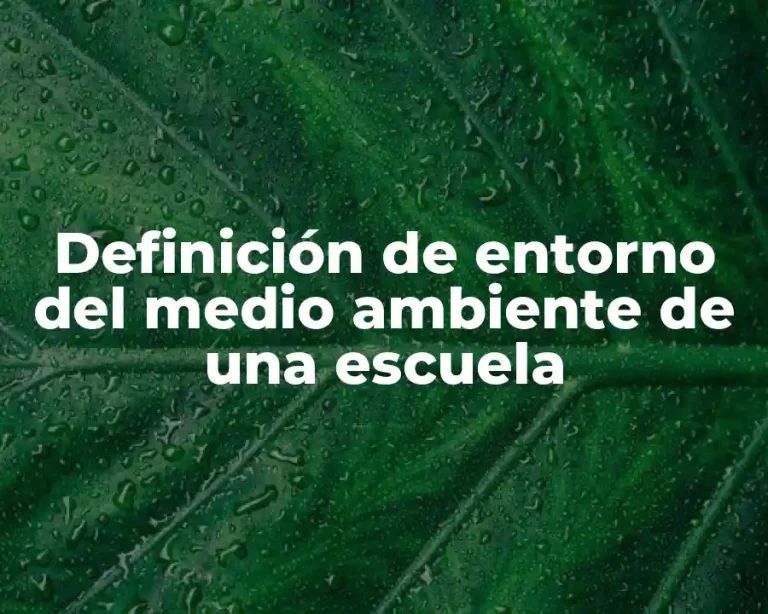 Definición de entorno del medio ambiente de una escuela