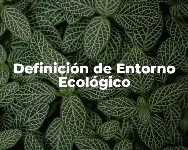 Definición de Entorno Ecológico