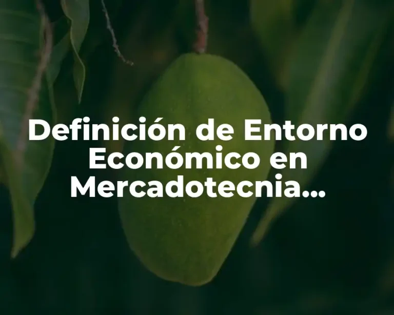 Definición de Entorno Económico en Mercadotecnia Internacional
