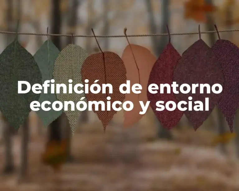 Definición de entorno económico y social