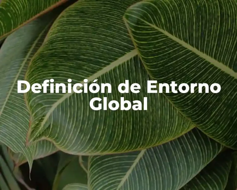 Definición de Entorno Global