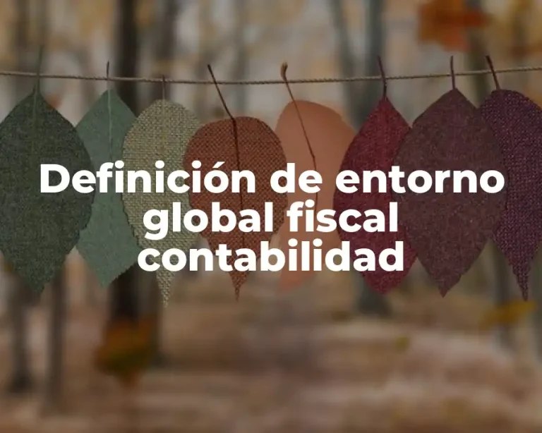 Definición de entorno global fiscal contabilidad