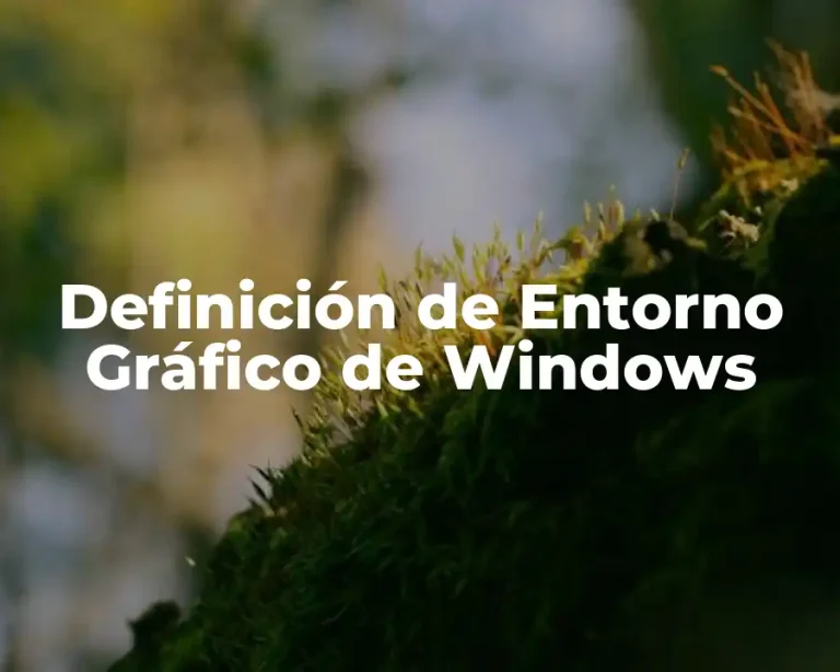 Definición de Entorno Gráfico de Windows