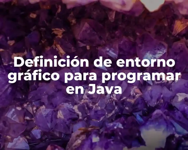 Definición de entorno gráfico para programar en Java