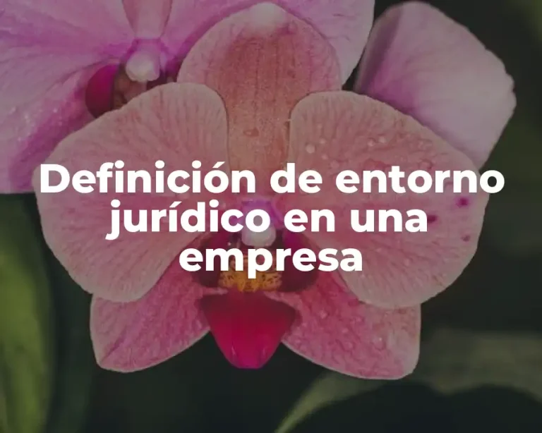 Definición de entorno jurídico en una empresa