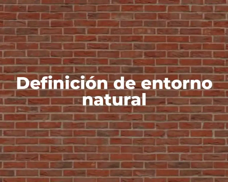 Definición de entorno natural