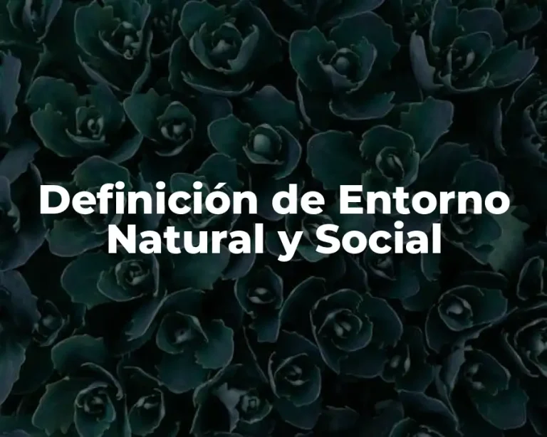Definición de Entorno Natural y Social